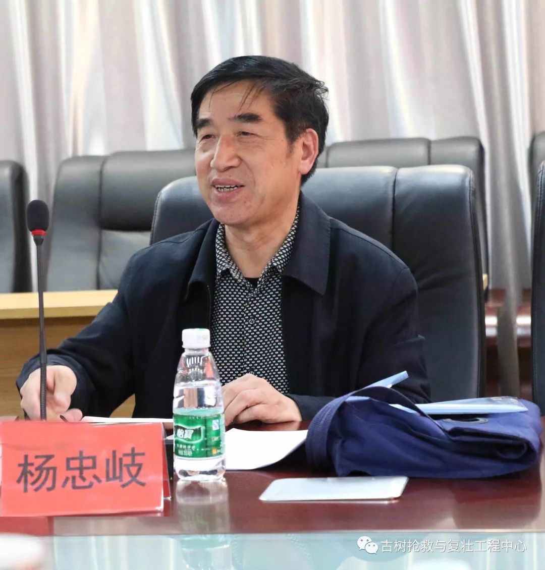 杨忠岐