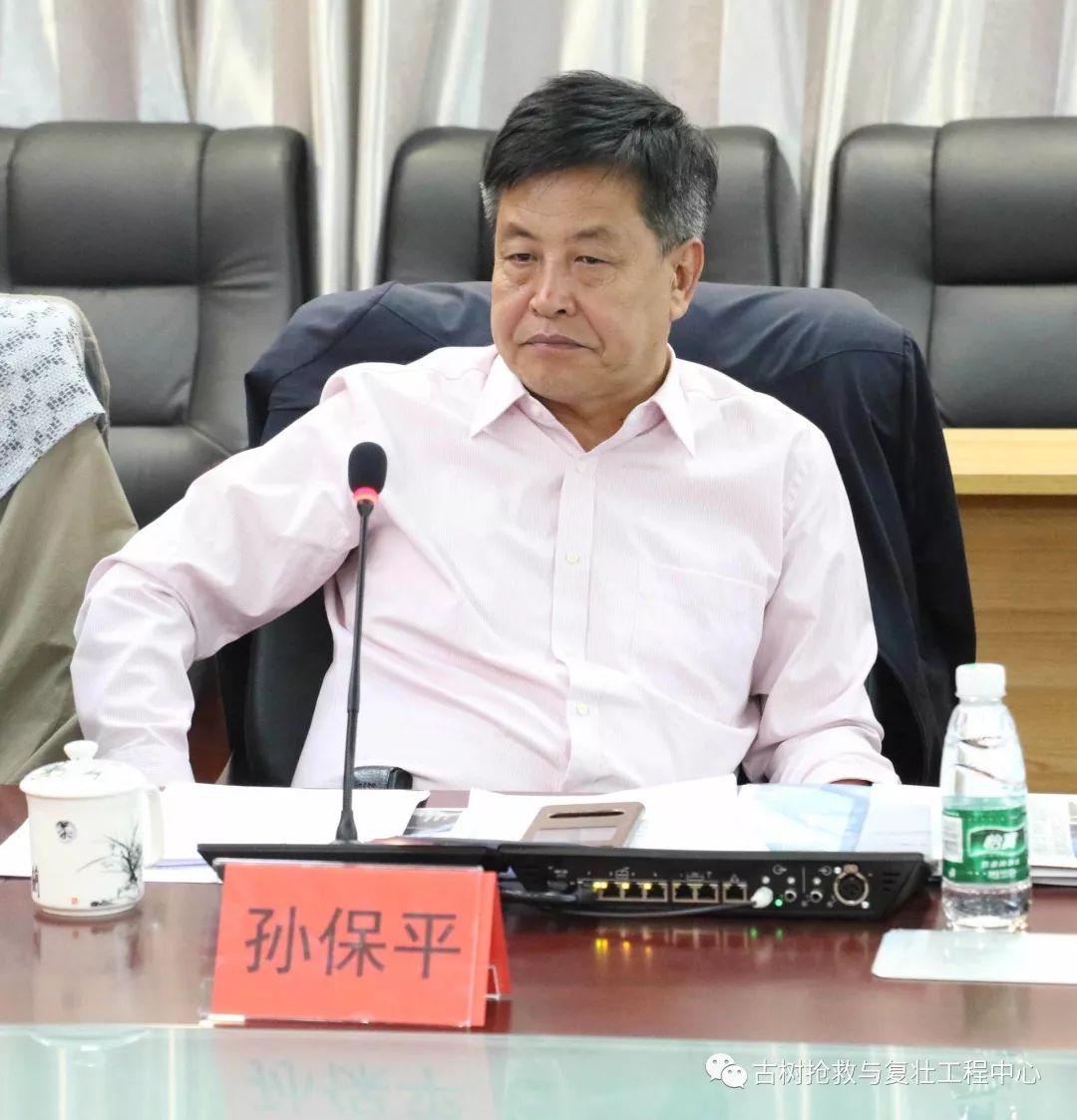 孙保平