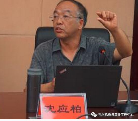 沈应柏