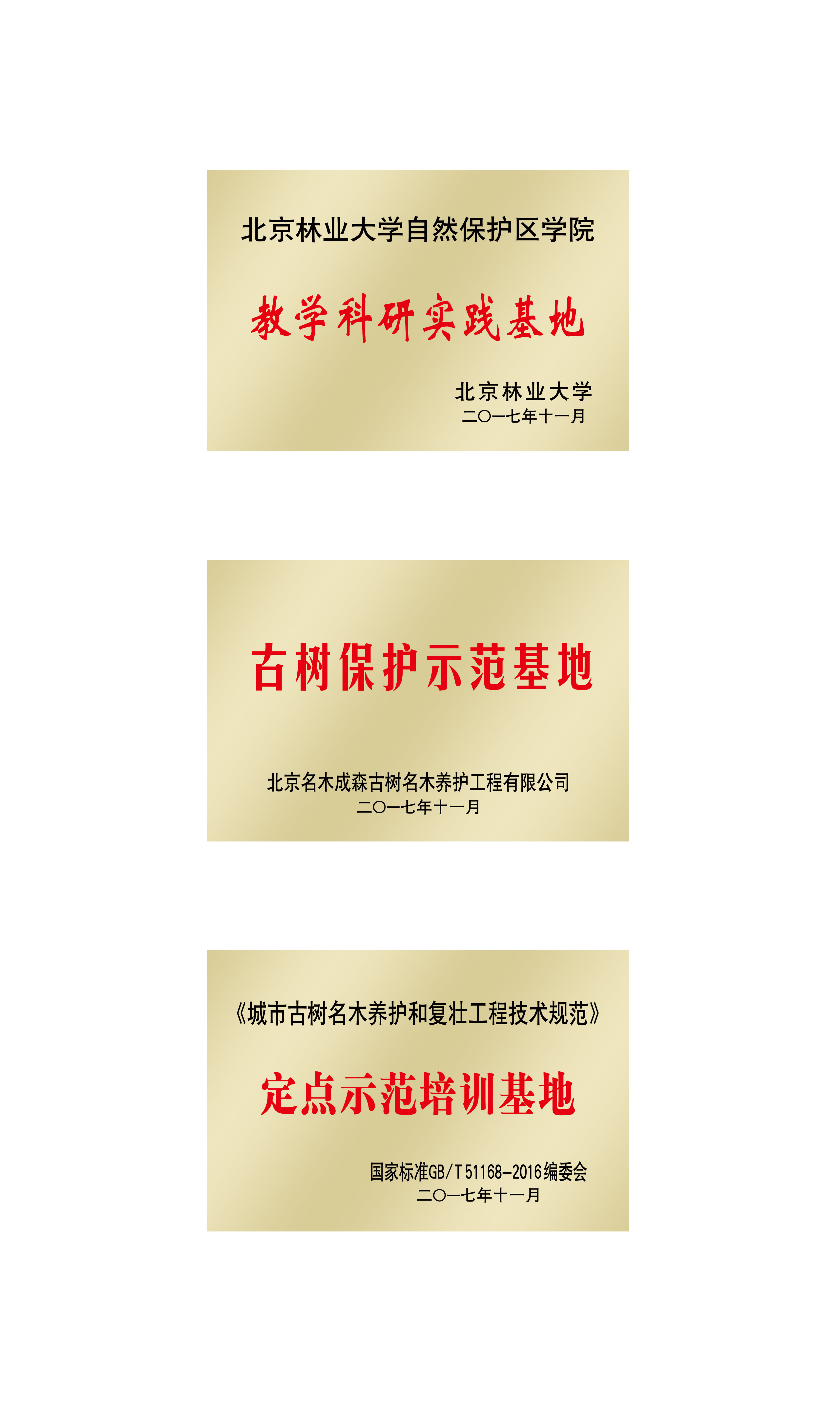 山东邹城古树保护教学科研基地
